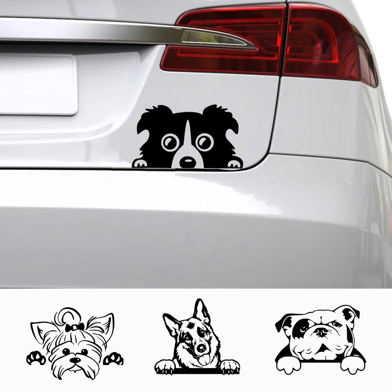 Cars Accessorie Decals Funny D - Interior Design Magazine review and price