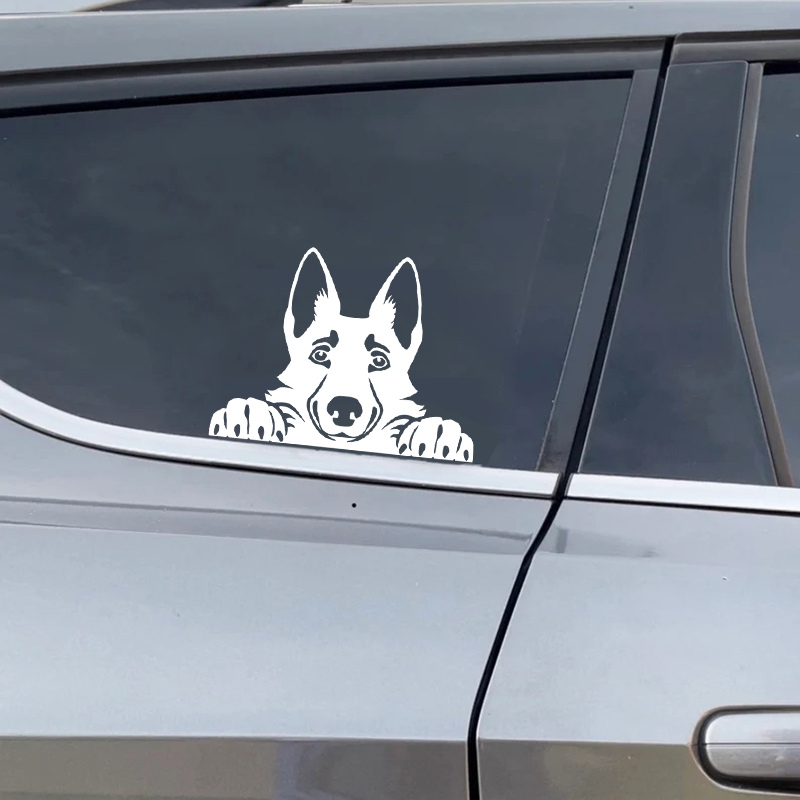 Cars Accessorie Decals Funny D - Interior Design Magazine review and price